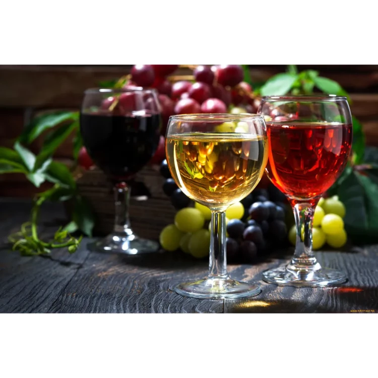 Винный шкаф CASO WineComfort 38